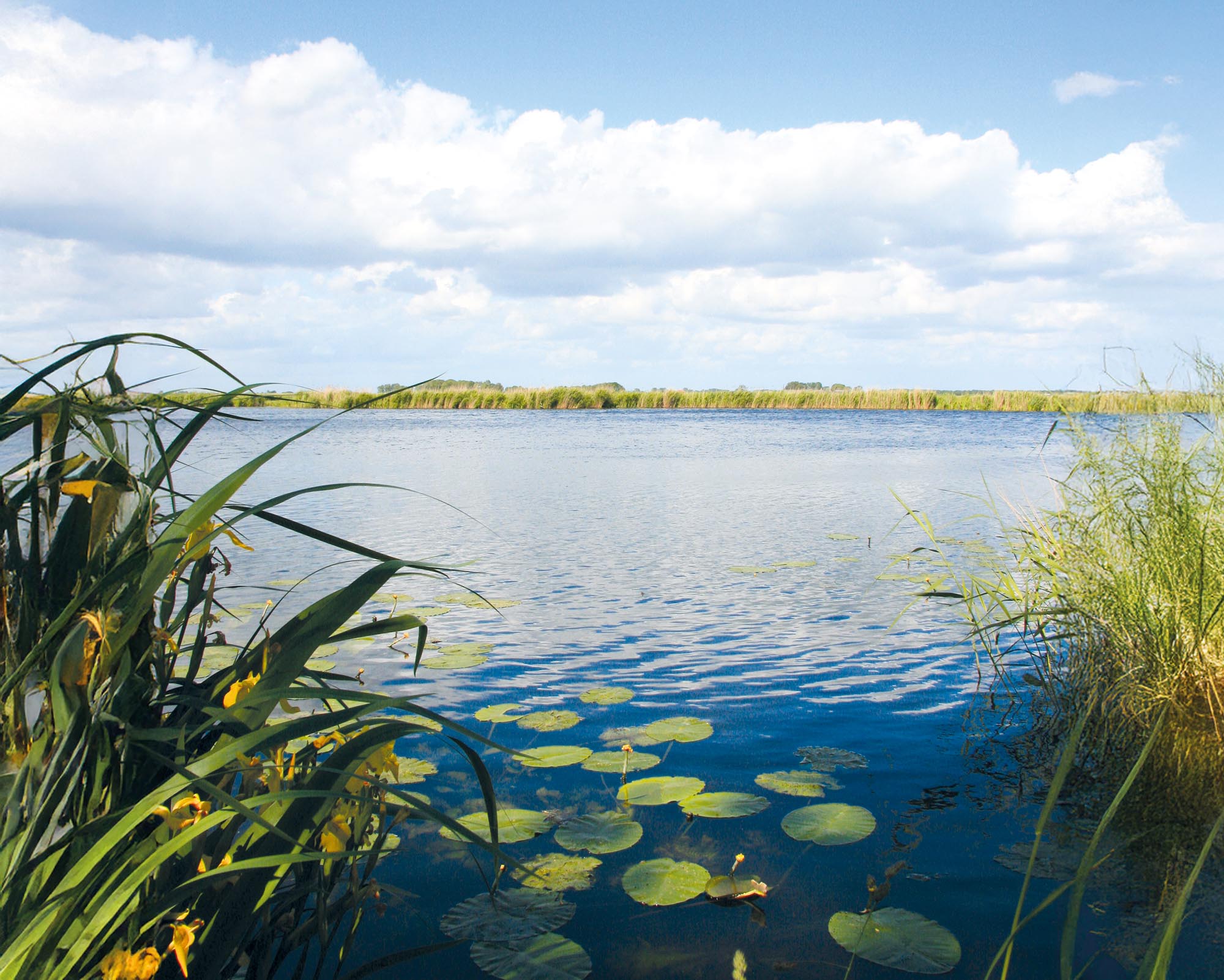 Landschapsbeheer IJsseldelta